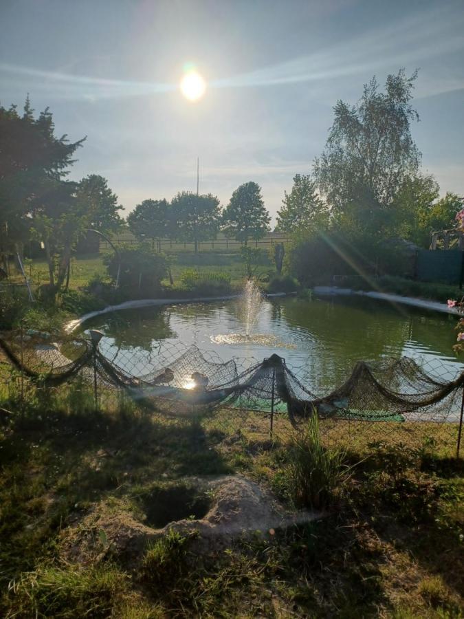 Zimmer Und Apartment Rosi Krakow am See Dış mekan fotoğraf