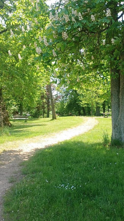 Zimmer Und Apartment Rosi Krakow am See Dış mekan fotoğraf