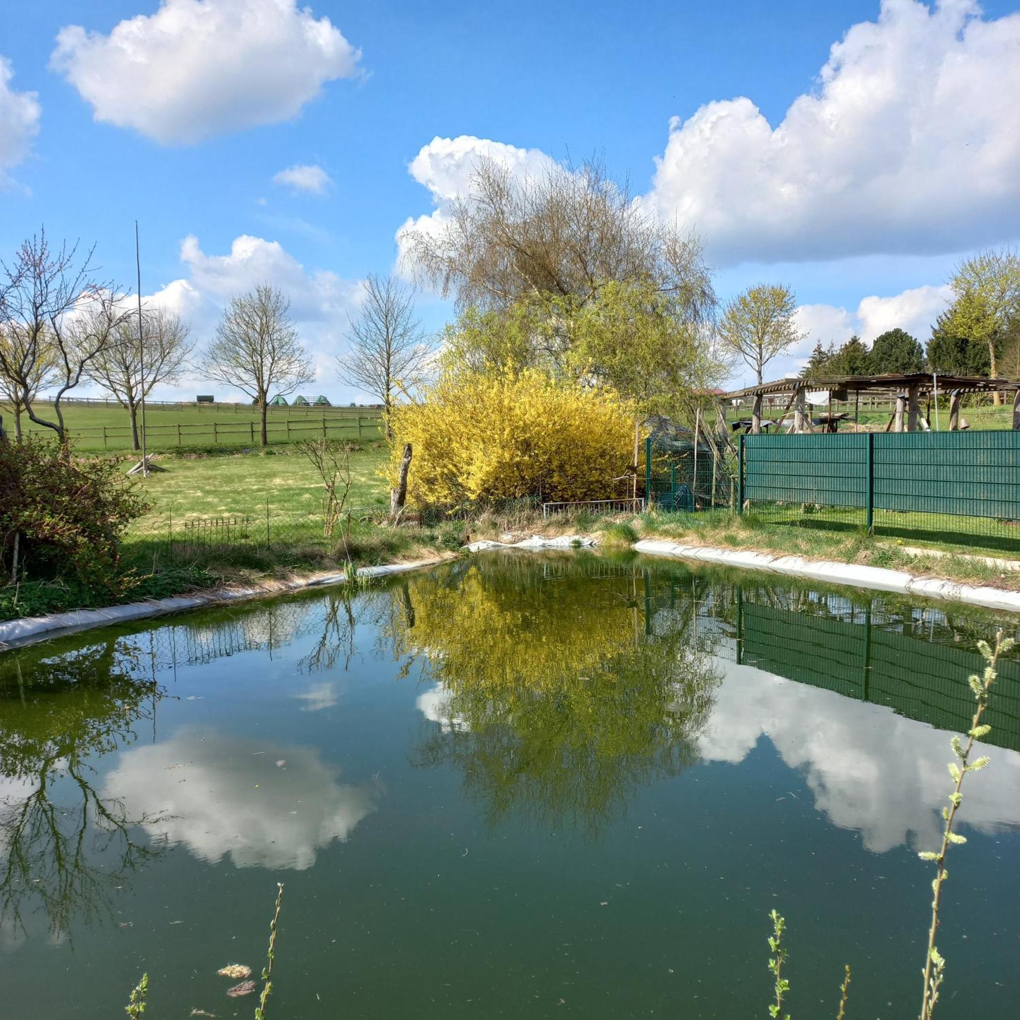 Zimmer Und Apartment Rosi Krakow am See Dış mekan fotoğraf